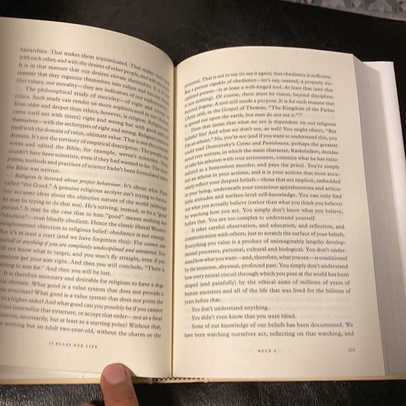 12 Rules for Life: An Antidote to Chaos by Jordan B. Peterson - Picture 8 of 10
